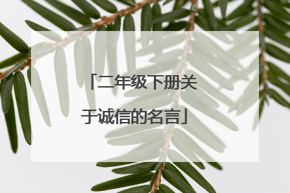 二年级下册关于诚信的名言