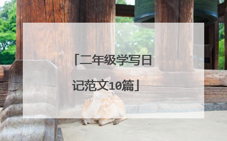 二年级学写日记范文10篇
