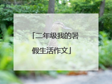 二年级我的暑假生活作文