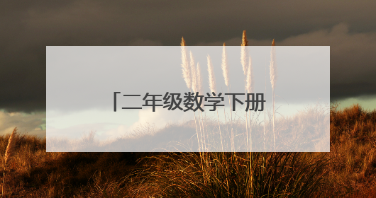 二年级数学下册人教版期末试卷