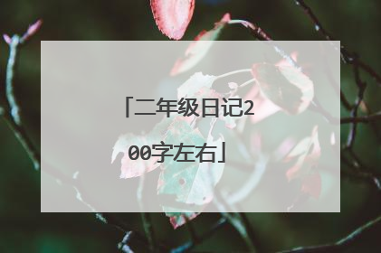 二年级日记200字左右