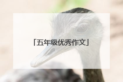 五年级优秀作文