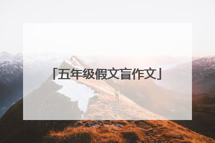 五年级假文盲作文
