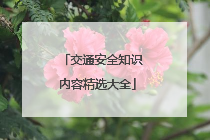 交通安全知识内容精选大全