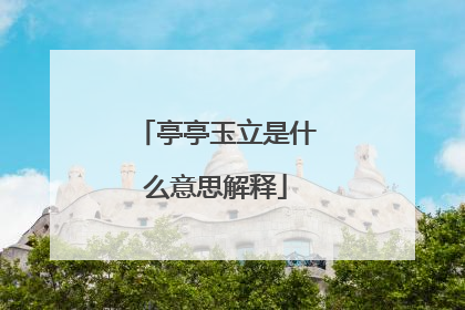 亭亭玉立是什么意思解释