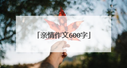 亲情作文600字