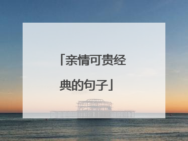 亲情可贵经典的句子
