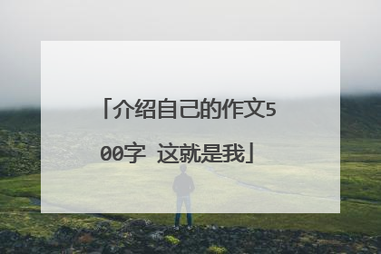 介绍自己的作文500字 这就是我