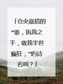 仓央嘉措的“谁，执我之手，敛我半世癫狂；”旳诗名叫？