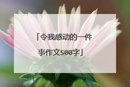 令我感动的一件事作文500字