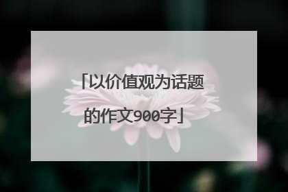 以价值观为话题的作文900字