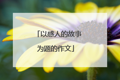 以感人的故事为题的作文