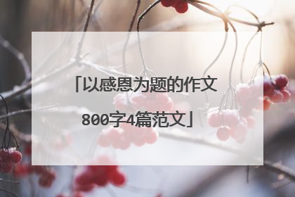 以感恩为题的作文800字4篇范文