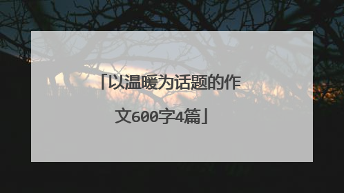 以温暖为话题的作文600字4篇