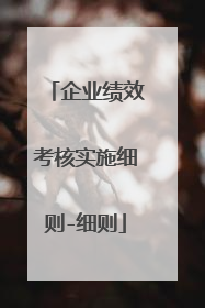 企业绩效考核实施细则-细则