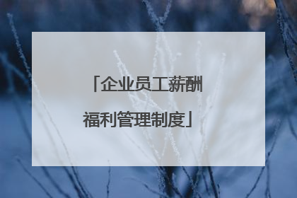 企业员工薪酬福利管理制度