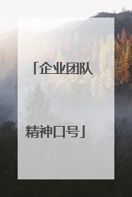 企业团队精神口号