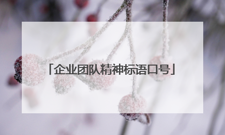 企业团队精神标语口号