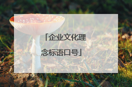 企业文化理念标语口号