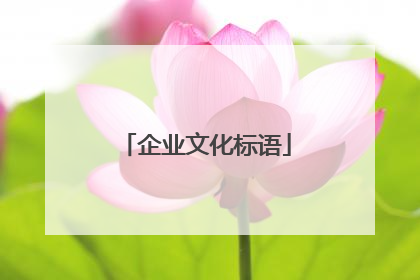 企业文化标语