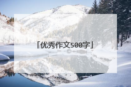 优秀作文500字