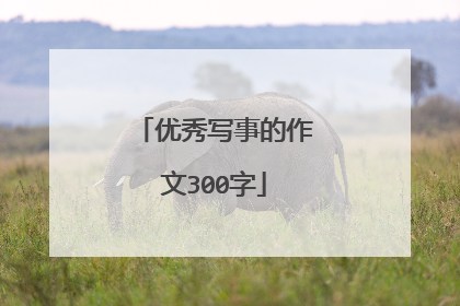 优秀写事的作文300字