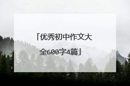 优秀初中作文大全600字4篇
