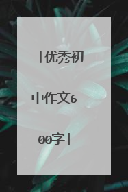 优秀初中作文600字