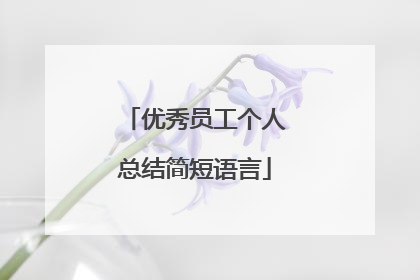 优秀员工个人总结简短语言