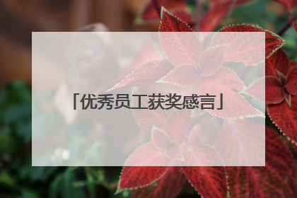 优秀员工获奖感言