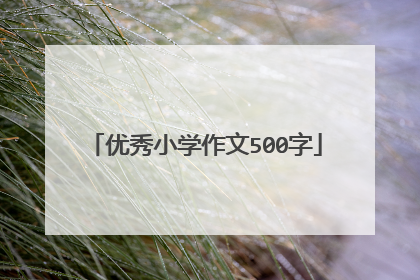 优秀小学作文500字