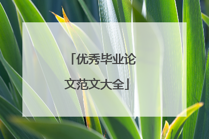 优秀毕业论文范文大全