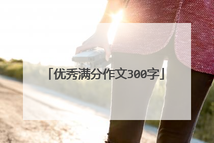 优秀满分作文300字