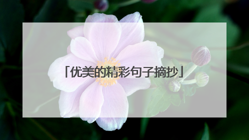 优美的精彩句子摘抄