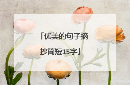 优美的句子摘抄简短15字
