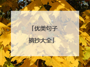 优美句子摘抄大全