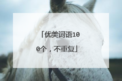 优美词语100个，不重复