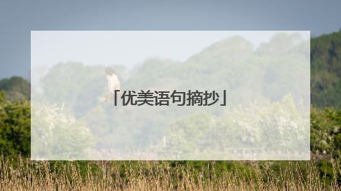 优美语句摘抄