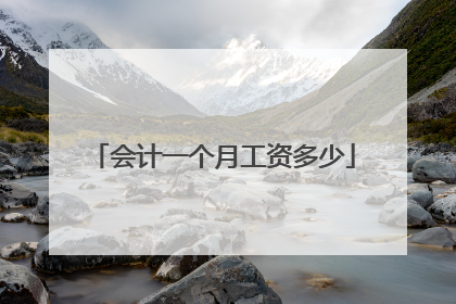 会计一个月工资多少