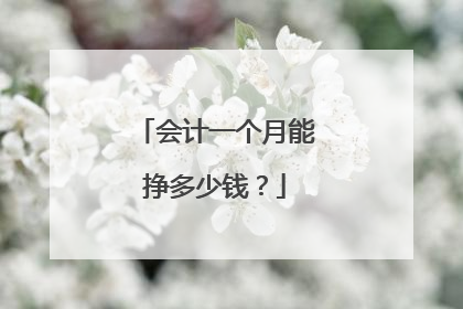 会计一个月能挣多少钱？