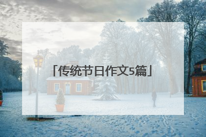 传统节日作文5篇