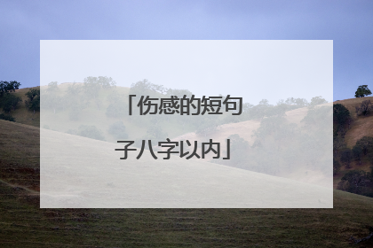 伤感的短句子八字以内