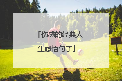 伤感的经典人生感悟句子