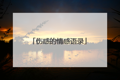 伤感的情感语录