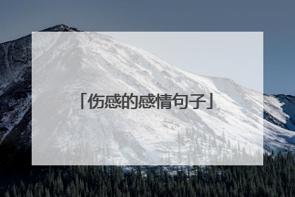 伤感的感情句子