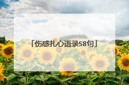 伤感扎心语录58句