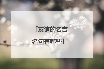 友谊的名言名句有哪些