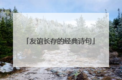 友谊长存的经典诗句