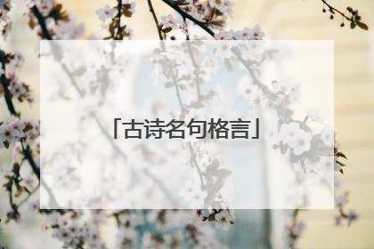 古诗名句格言