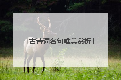 古诗词名句唯美赏析